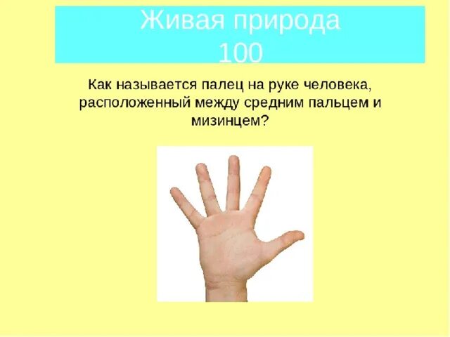 Почему палец назвали палец. Название пальцев на руке. Пальцы рук название. Название палец на руке человека. Названиепалбцев на руке.