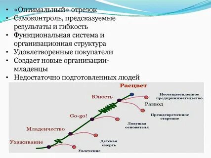 Жизненный цикл организационных структур