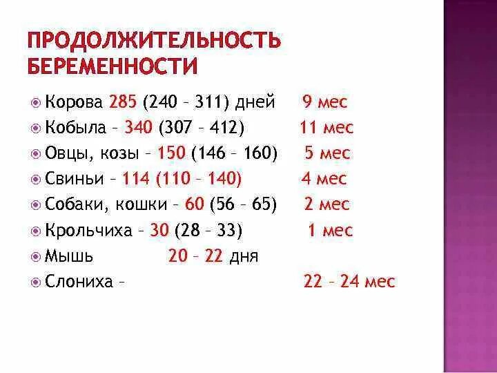 Сроки беременности у разных видов животных. Беременность у коровы Продолжительность. Продолжительность беременности у животных. Сроки беременности сельскохозяйственных животных.