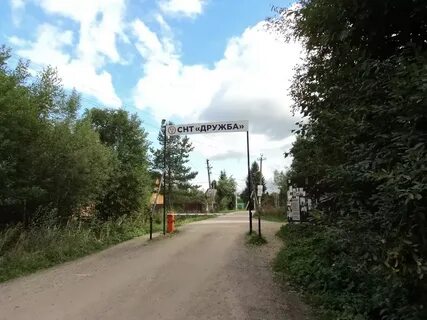 Чаща гатчинского