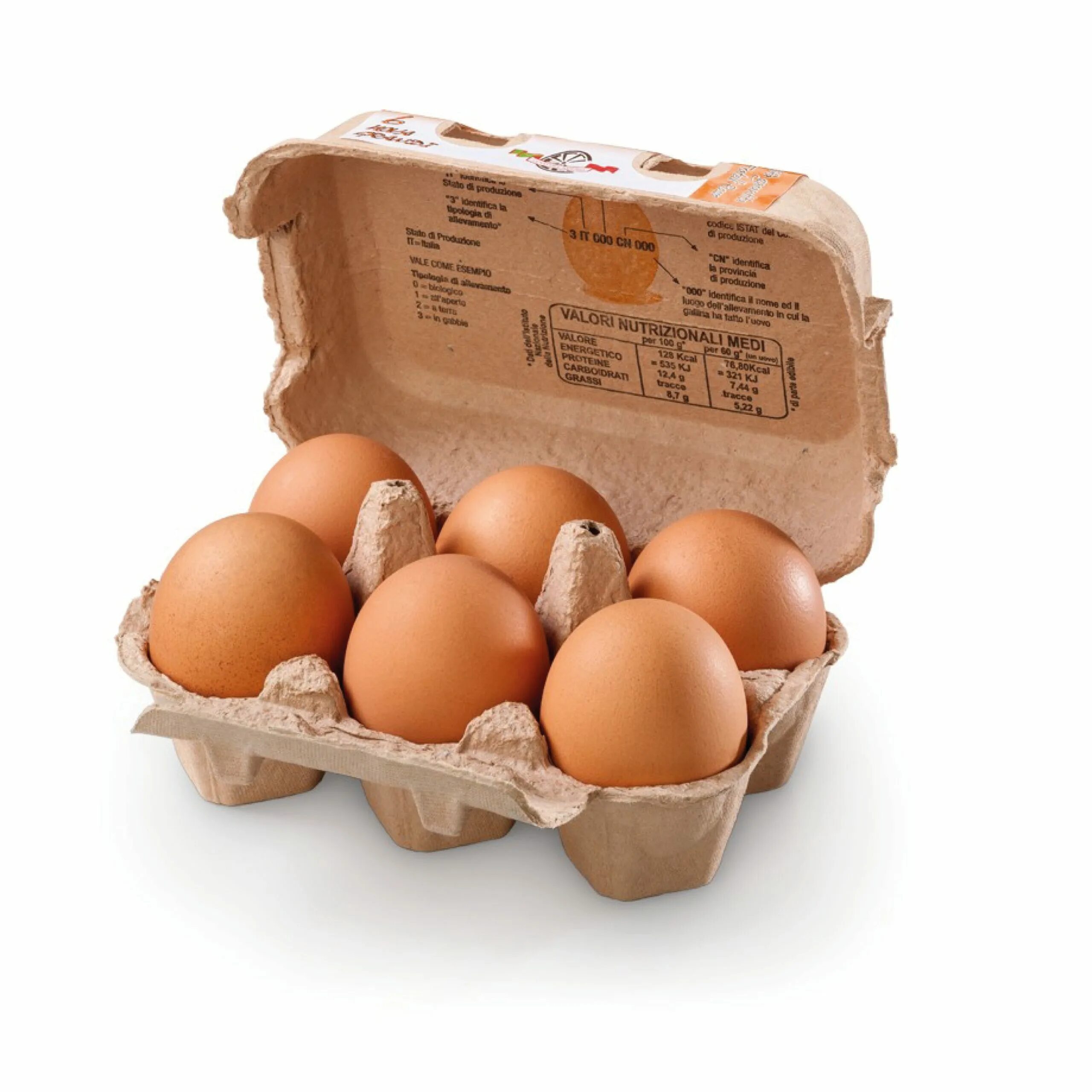 Яйцо 1 клетка. Яйцо куриное. Яйцо куриное белое. Лоток для яиц. Яйцо куриное на белом фоне.
