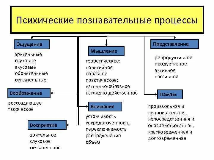 Память относится к психическим