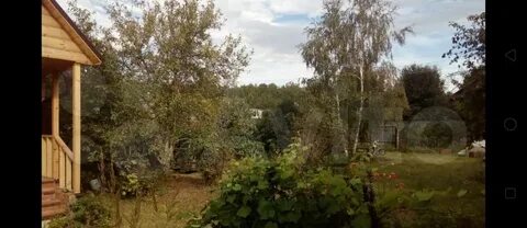 Сады шахтер