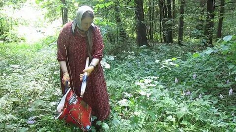 Гринь княжья травница