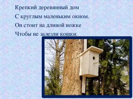 На шесте веселый дом с круглым маленьким