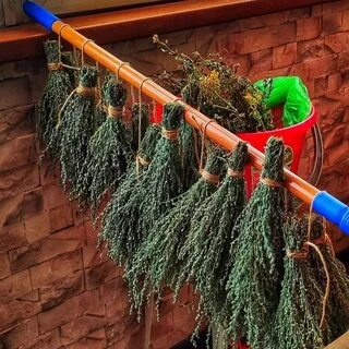 Веник из полыни