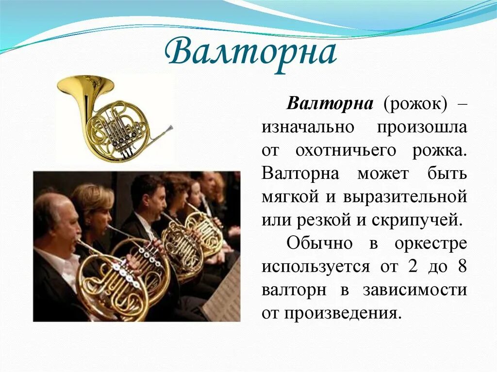 Валторна какой музыкальный инструмент. Сообщение о валторне музыкальный инструмент. валторна описание. валторна музыкальный инструмент описание. валторна доклад.