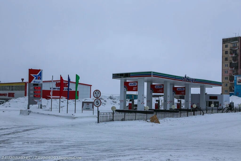 Арктур норильск. Азс талнахе. Азс арктур. Эмблема арктур. Талнах.