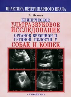 Ультразвуковое исследование органов грудной клетки