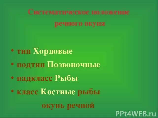 Систематическое положение рыбы. Систематическое положение рыб. таксономическое положение рыб. определите систематическое положение рыбы. систематическое положение лебедь.