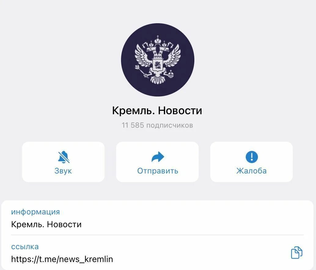 телеграм каналы ростов