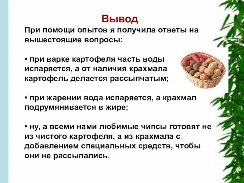 Какой химический картофеля. Вывод о картофеле. Крахмал при отваривании картофеля. Заключение о картофеле. Назовите правила варки картофеля..