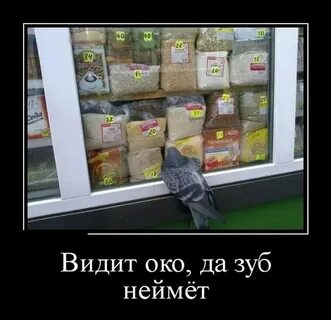 Смысл пословицы видит око да