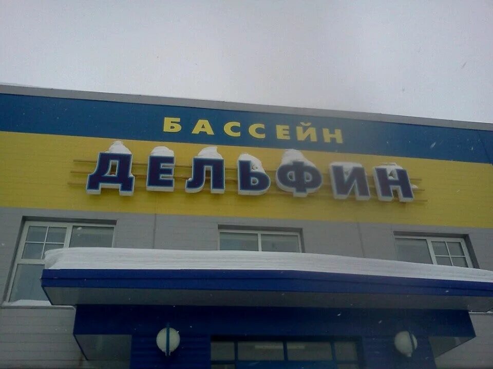 В Кировске 3 августа откроют для посещения бассейн "Дельфин" - Все новости - Нов