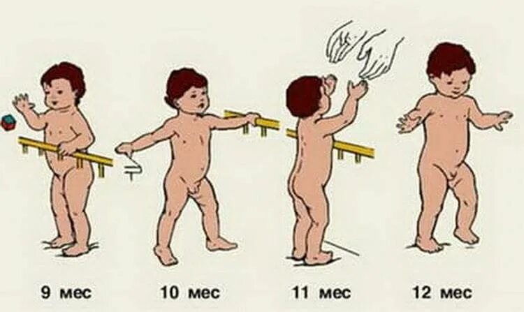 Во сколько месяцев мальчики должны