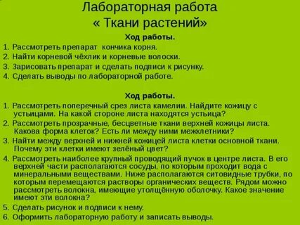 Лабораторная работа 6 класс вывод