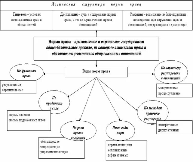 Конституционно правовые нормы понятие виды. Виды норм в Конституции. Схема классификации конституционно правовых норм.