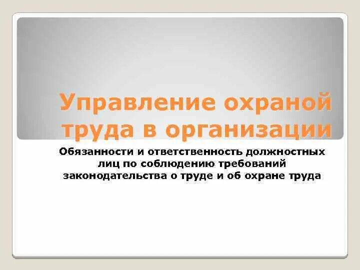 Обязанность и ответственность должностных лиц по охране труда. Обязанности и ответственность должностных лиц охране труда. Обязанности должностного лица по охране труда