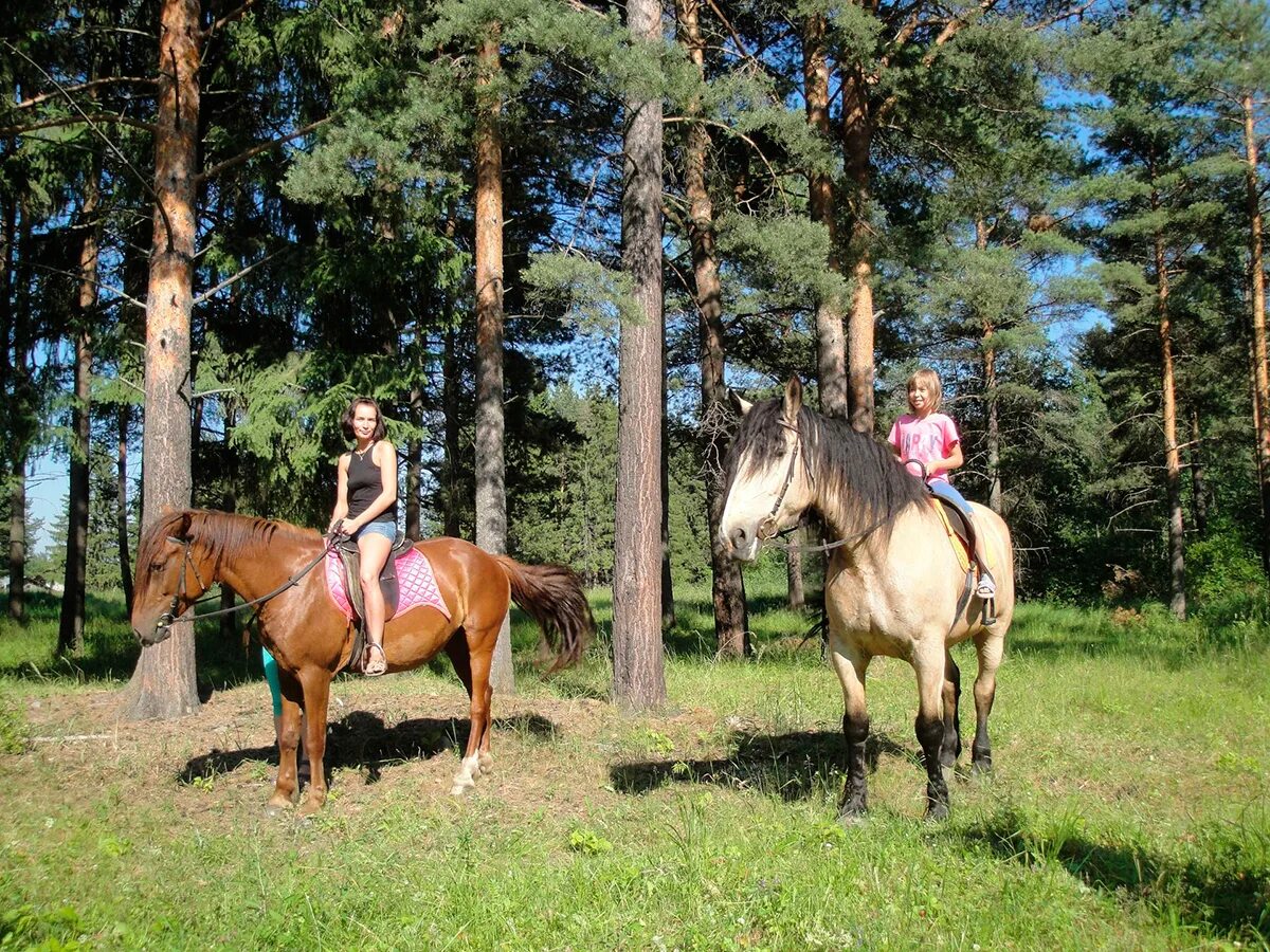 Конюшня пятигорск. Марий Чодра конные прогулки. Конная прогулка Рускеала. Борисоглеб Муром конные прогулки. Конные прогулки Пятигорск.