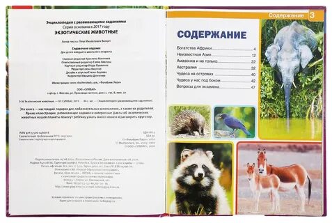 Практические работы животный мир