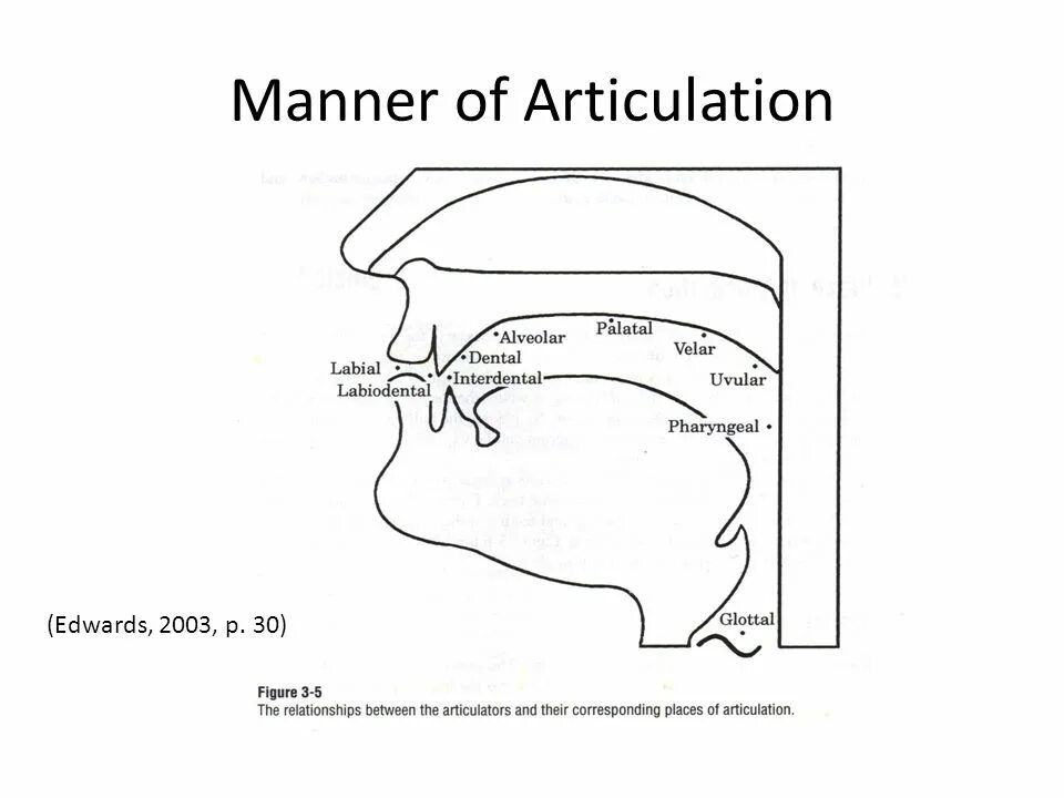 Артикуляция интересов. Manner of articulation. Manner of articulation consonants. Еру ьфттук ща фкешсгдфешщт. Артикуляция в архитектуре.