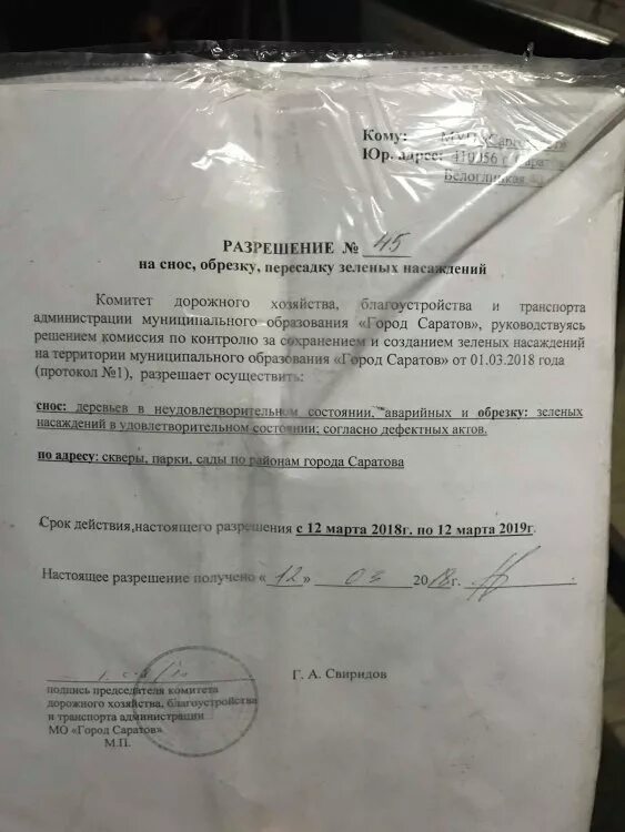 Снос деревьев разрешение. Уведомление о сносе деревьев. заявление на снос зеленых насаждений. акт на вырубку деревьев. заявление на снос дерева.