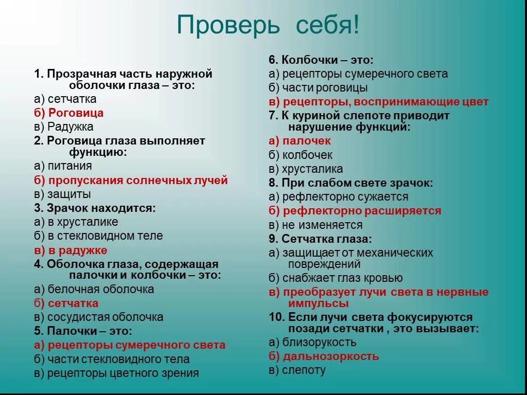 Тест по глазу 8 класс