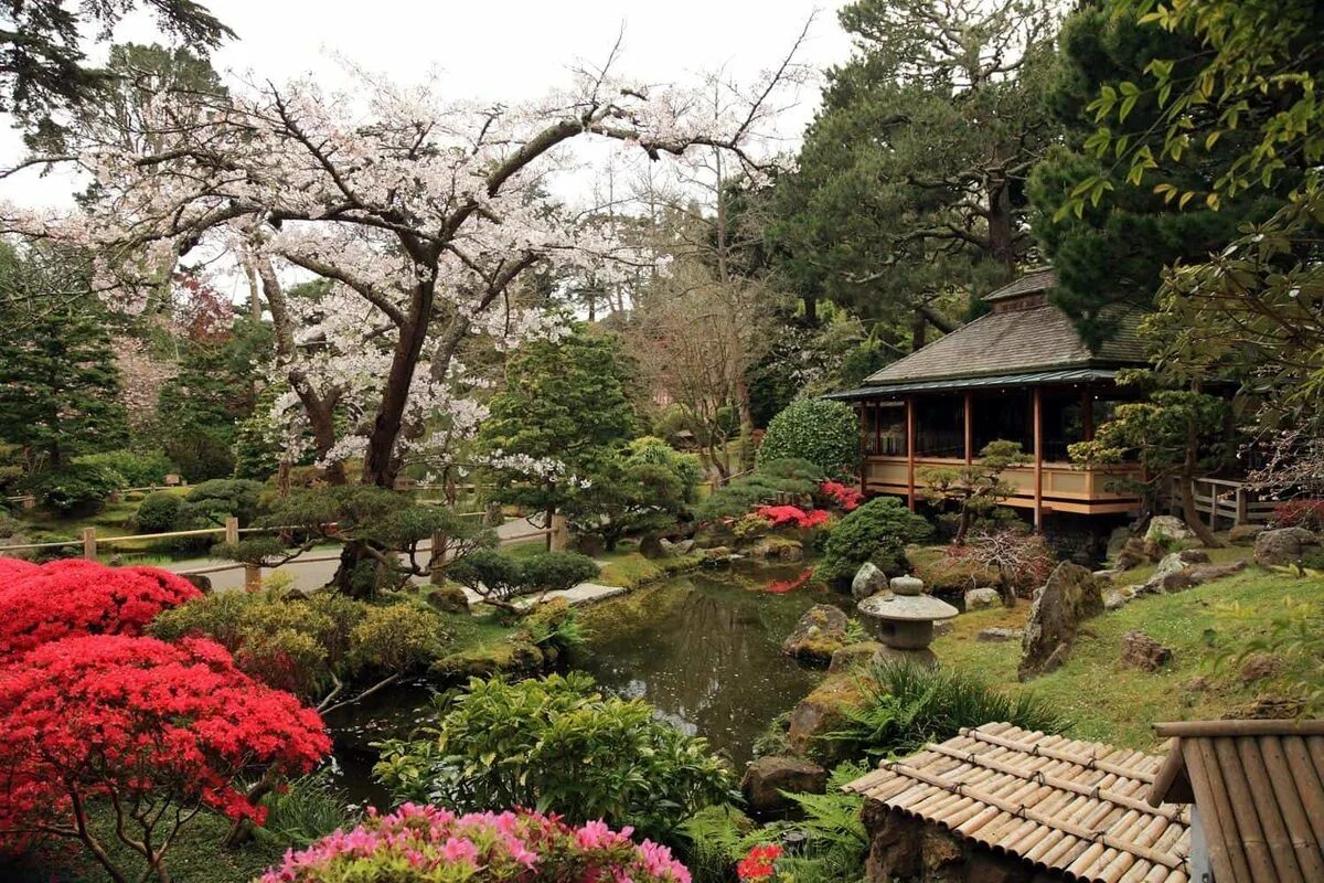 Японский чайный сад в Сан-Франциско. Японский чайный сад, парк «золотые ворота», Сан-Франциско, США. Чайный сад в Сан Франциско. Парк золотые ворота • японский чайный сад. Японский парк сайт