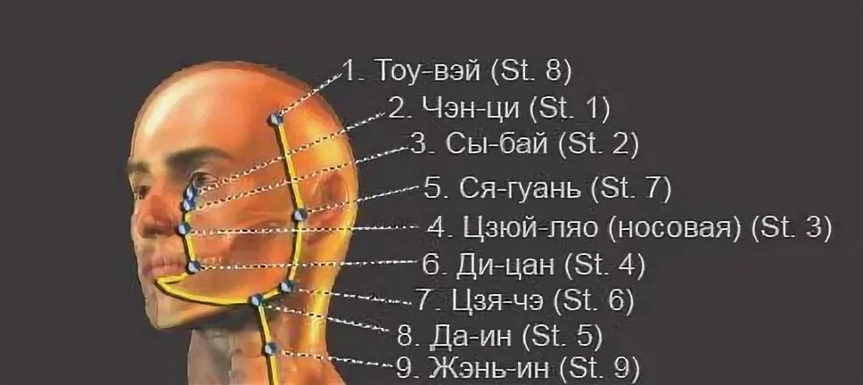 Цзя-Чэ точка. Акупунктурная точка от шума в ушах. Точки акупунктуры при шуме в ушах. Шум в ушах акупунктурные точки.