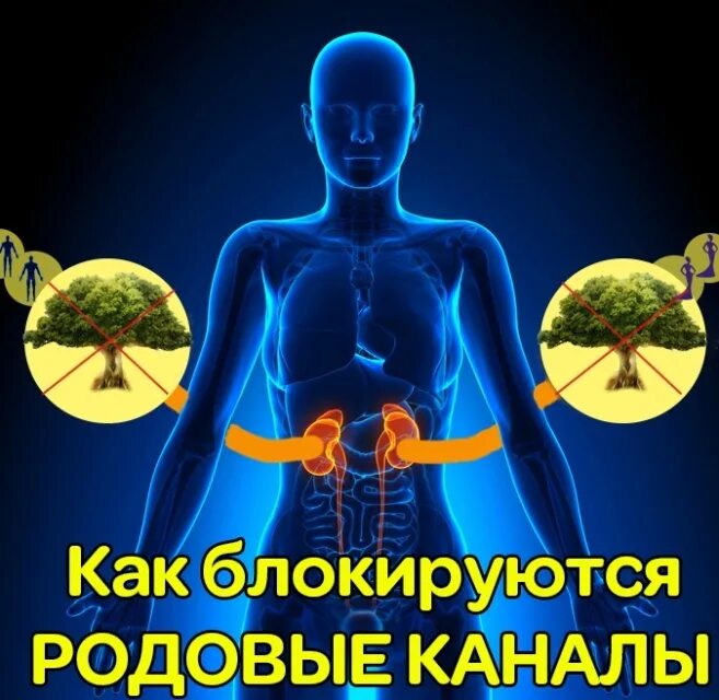 Открыть род. Родовые каналы человека. родовой канал в эзотерике. энергетические родовые каналы. родовые энергии.