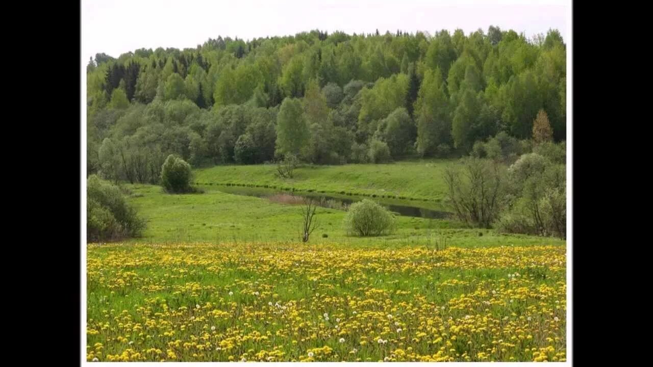 Русь матушка видео. Русь Матушка. Россия Матушка фото. Поле Матушка Русь. Матушка Россия картинки красивые.