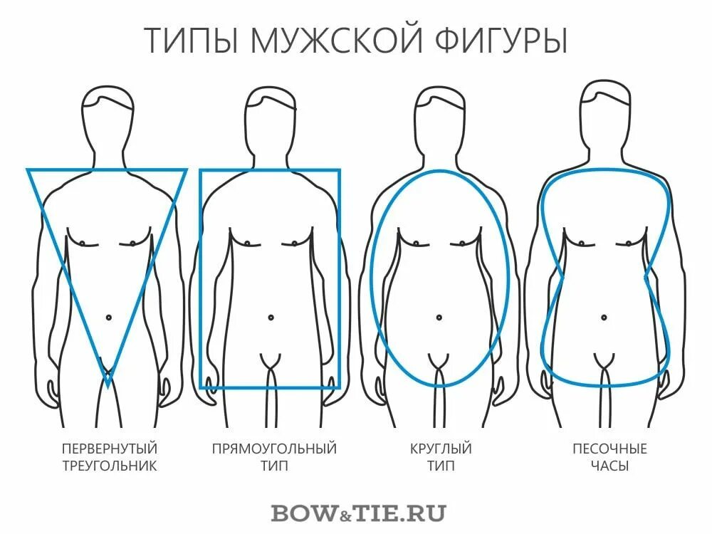 Мужчина рост плечи. Типы фигур у парней. Формы мужского тела. Типы телосложения у мужчин. Типажи мужских фигур.