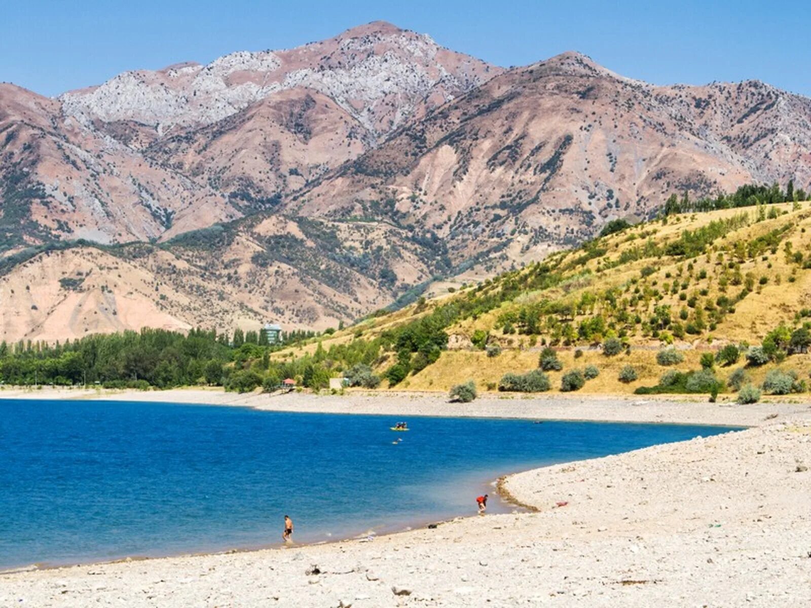 Чарвак ташкент. Ташкент водохранилище Чарвак. Чарвакское водохранилище и Чимган. Озеро Чарвак в Узбекистане. Ташкент горы Чарвак.