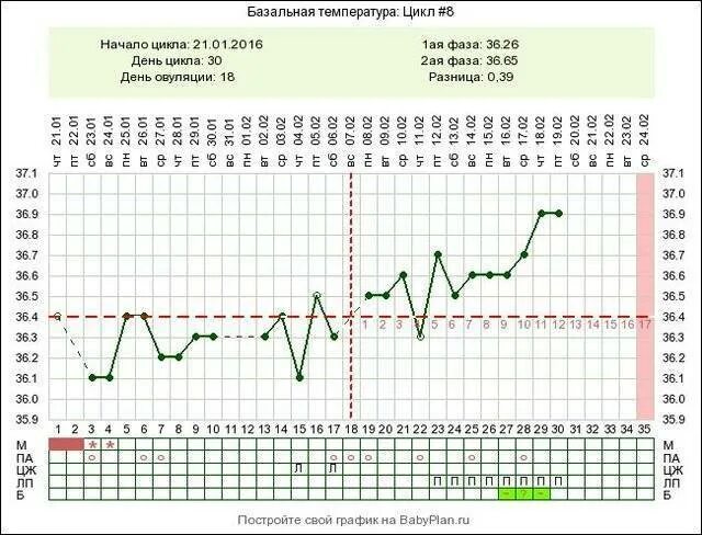 Температура во втором цикле. Беременный график БТ С поздней овуляцией. Базальная температура при поликистозе яичников. График базальной температуры с поздней овуляцией. График базальной температуры с овуляцией на 10 день.