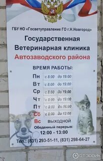 Часы работы ветлечебницы