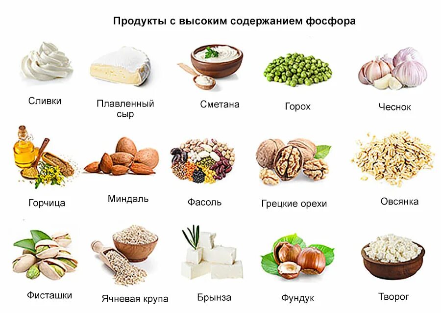 Какие продукты укрепляют кости CoffMachines.ru