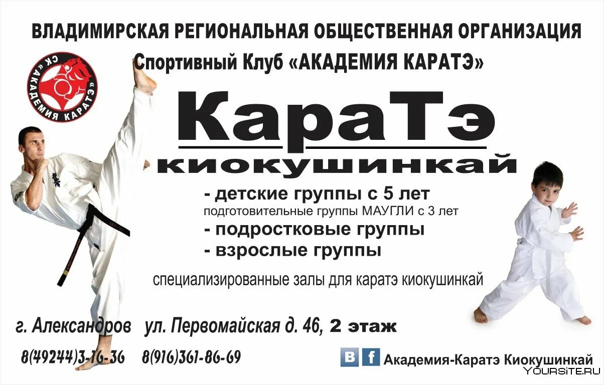 Плюсы и минусы каратэ. Реклама каратэ. Реклама каратэ. Восточные единоборства для девочек. Листовки каратэ.