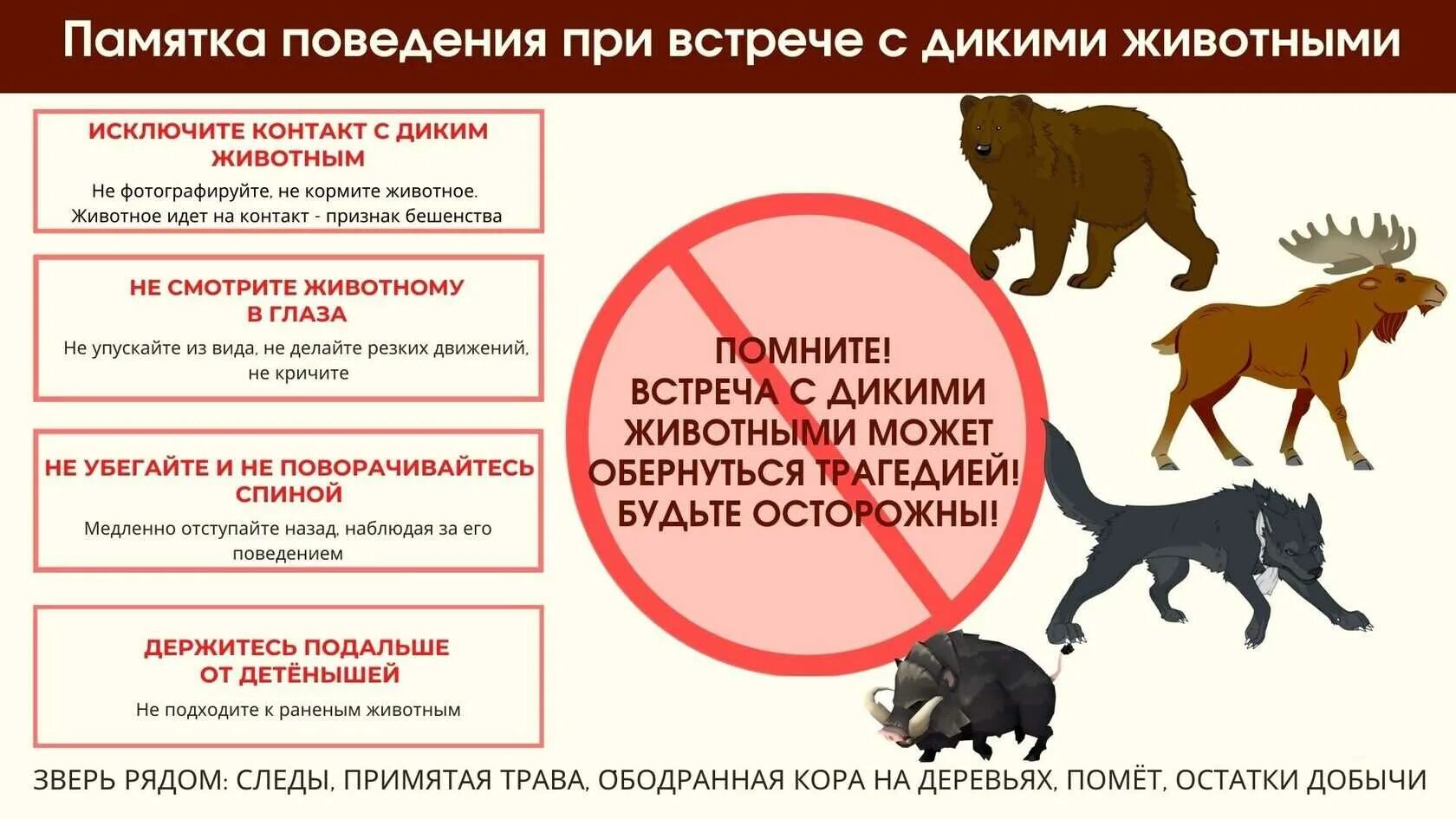 Меры защиты от нападения. При встрече с дикими животными. Поведение при встрече с дикими животными. Памятка при встрече с дикими животными. Правила поведения при встрече с животными.