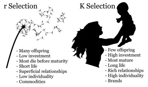 Selection текст