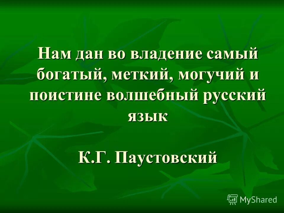 велик и могуч русский язык цитата. великий и богатый русский язык. богат и могуч. богат и могуч. велик и могуч русский язык.