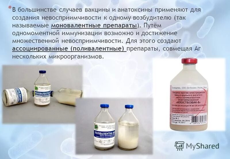 вакцина против ящура щелково. вакцина против ящура азия 1. препараты для специфической профилактики менингококковой инфекции. ассоциированные и комбинированные вакцинные препараты. моно и поливалентные вакцины.