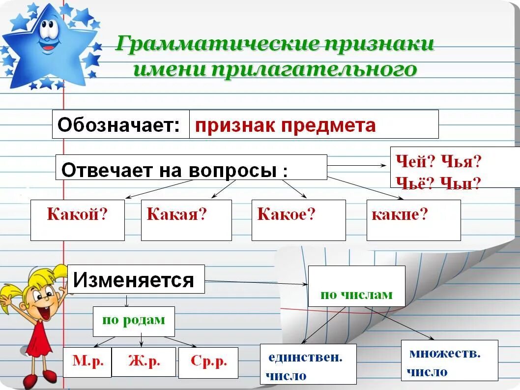 Упражнения по теме существительное. Грамматические признаки имен прилагательных 4 класс. Грамматические признаки прилагательных 3 класс. Грамматические признаки имени прилагательного 2 класс. Грамматические признаки прилагательного 4.