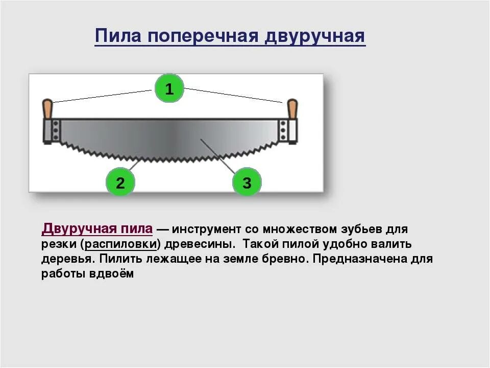 Части ножовки. Пила поперечная. Строение ножовки по дереву. Поперечная пила по дереву. Ножовки и лучковые пилы схема.