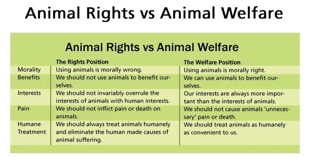 Animal rights. Animal rights in USA. Text animal rights. The Sciences of animal Welfare. Human shall