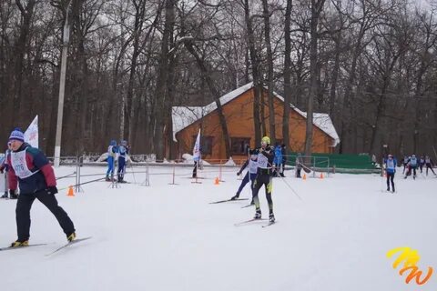 Олимпик воронеж
