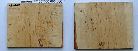 Береза карельская тип питания
