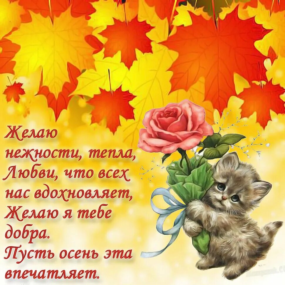 Осенние поздравления с добрым. С добрым утром осенним с пожеланиями. Пожелания доброго осеннего дня. Осенние открытки с пожеланиями.