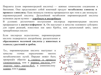 Фермент пирувата