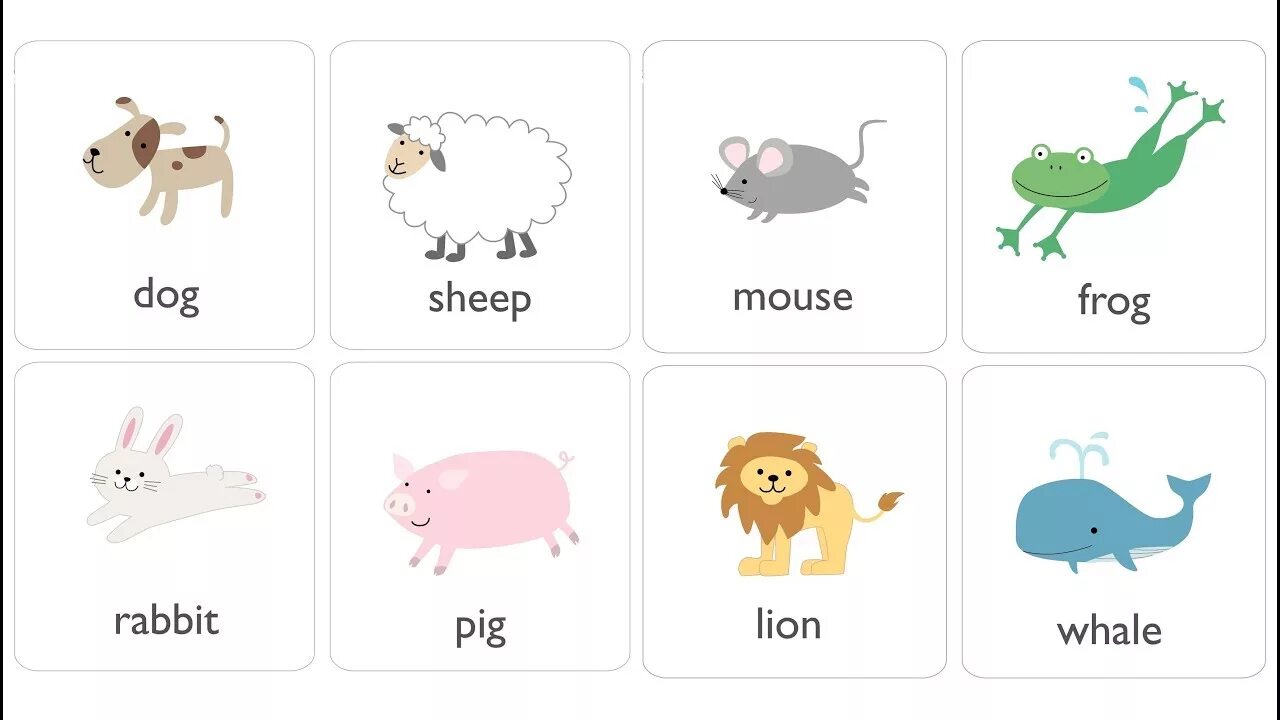 Трогательно на английском. Животные на английском языке. Животнее на английском языке. Животные на английском языке для детей. Карточки животные на английском.