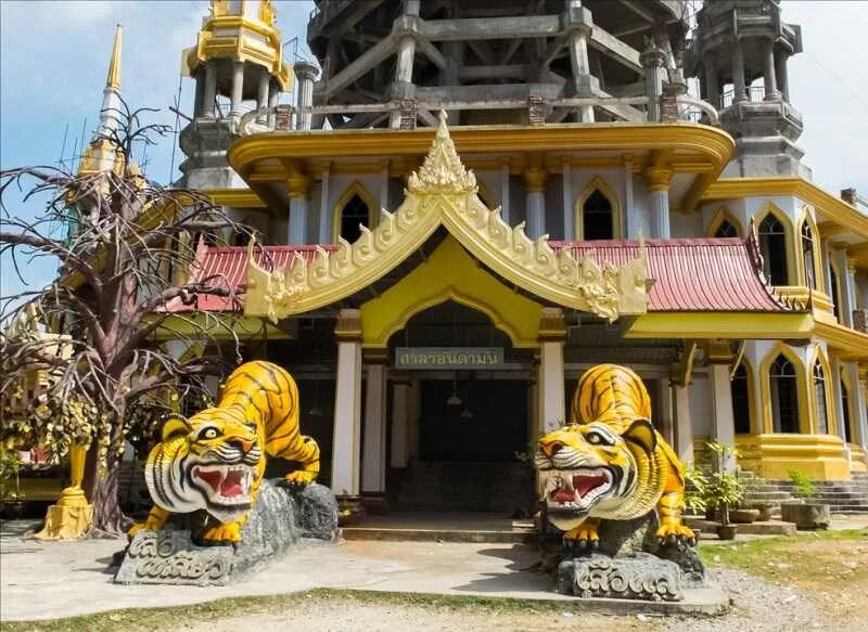 храм тигра пхукет. храм тигров краби. пещера храма тигра таиланд. храм тигра в тайланде. пещера тигра краби.